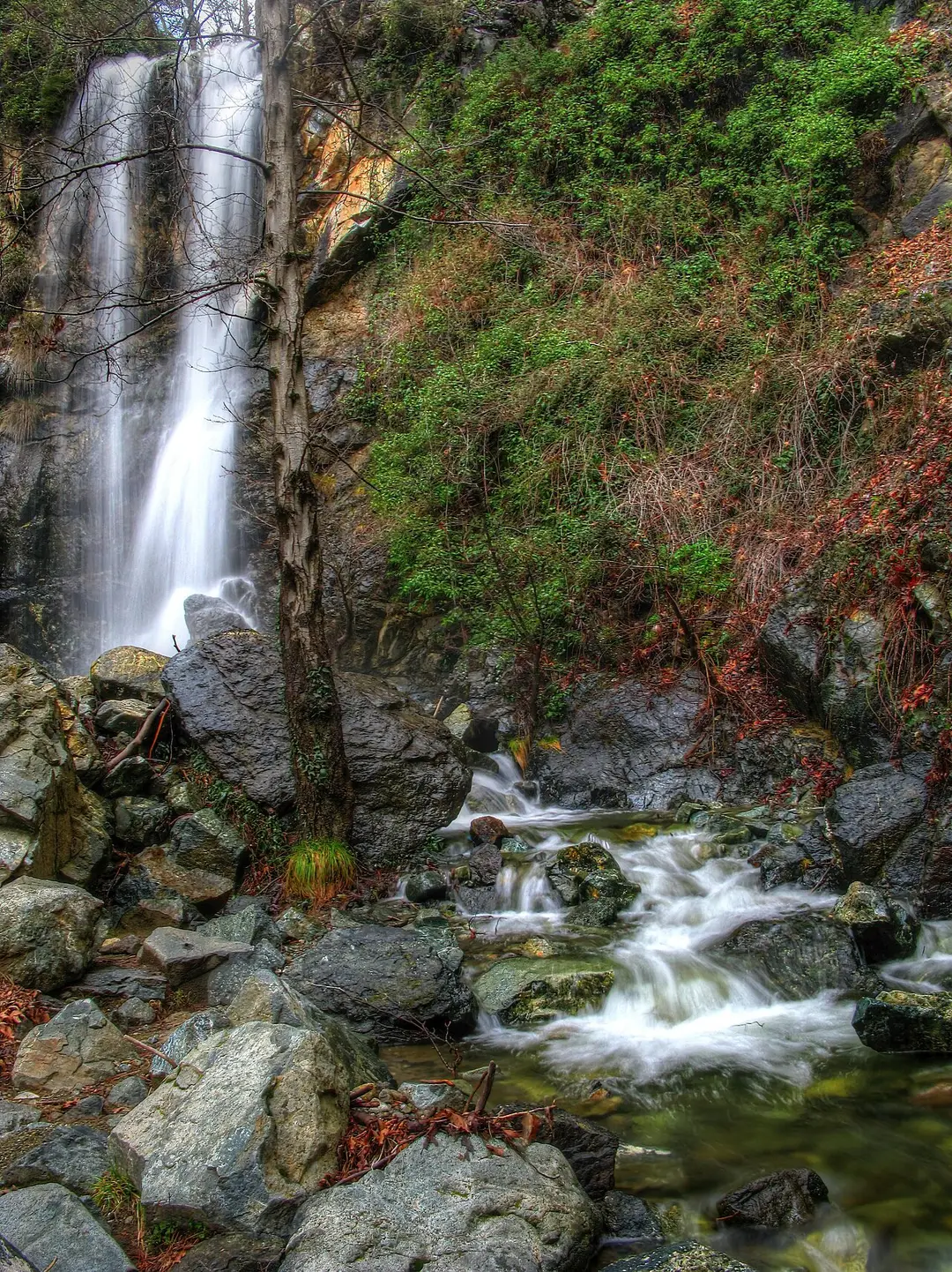 The Caledonia (Kalidonia) waterfall tumbling over dark rock in a shaded Troodos forest